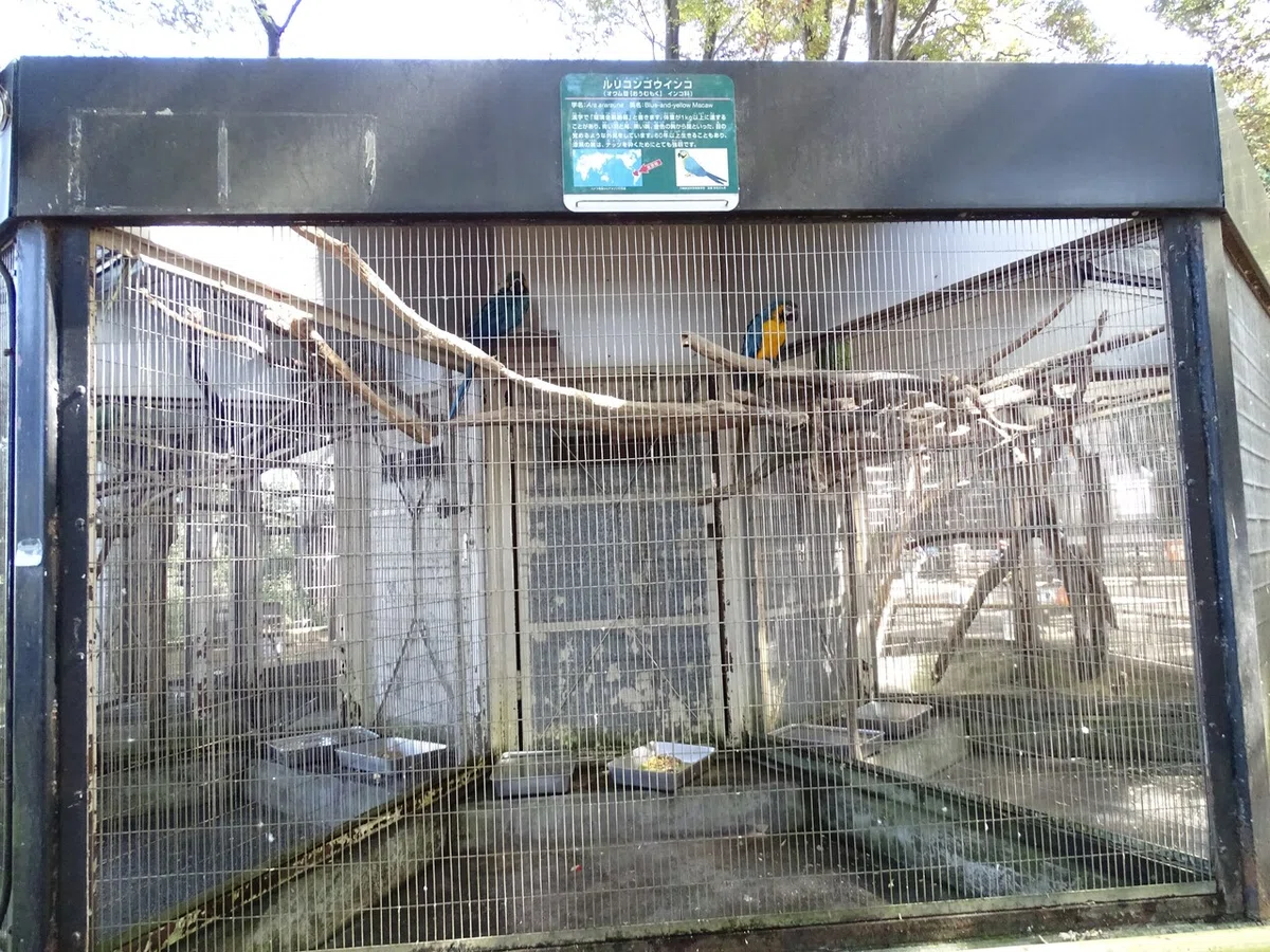 画像121
