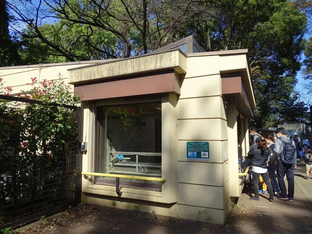 画像205