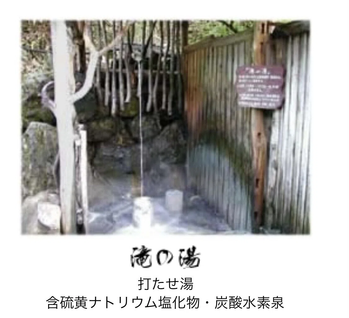 画像12