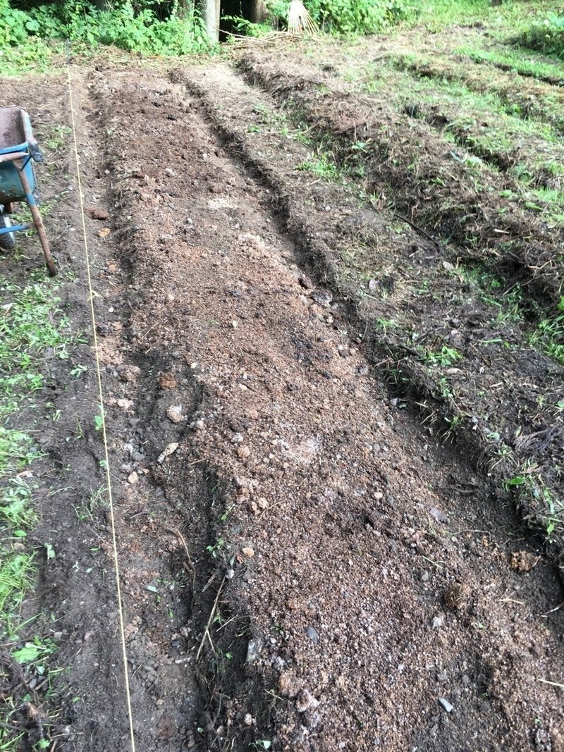 秋の畑の様子です Shanthi Usui Note