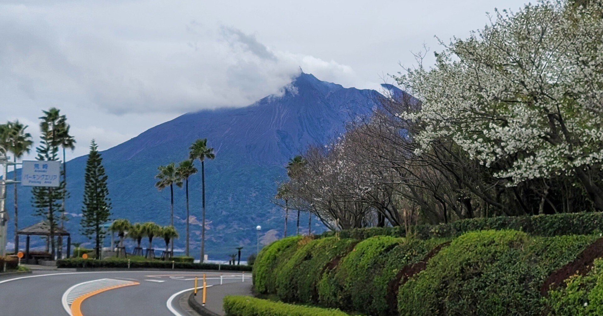 車中泊で 桜 と日本一周 1県目 鹿児島編 桜島 黒豚と砂蒸し温泉で癒される 地球へ途中下車夫婦 根津眞澄 妻 オット Note 車中泊で 桜 と日本一周 1県目 鹿児島編 桜島 黒豚と砂蒸し温泉で癒される 地球へ途中下車夫婦 根津眞澄 妻 オット Note