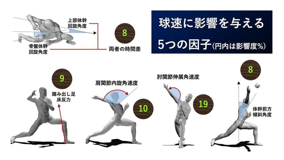 2【Journal of Biomechanics】Nicholson, 2022:機械学習と統計的手法による速球速度のバイオメカニクス的予測_サムネイル