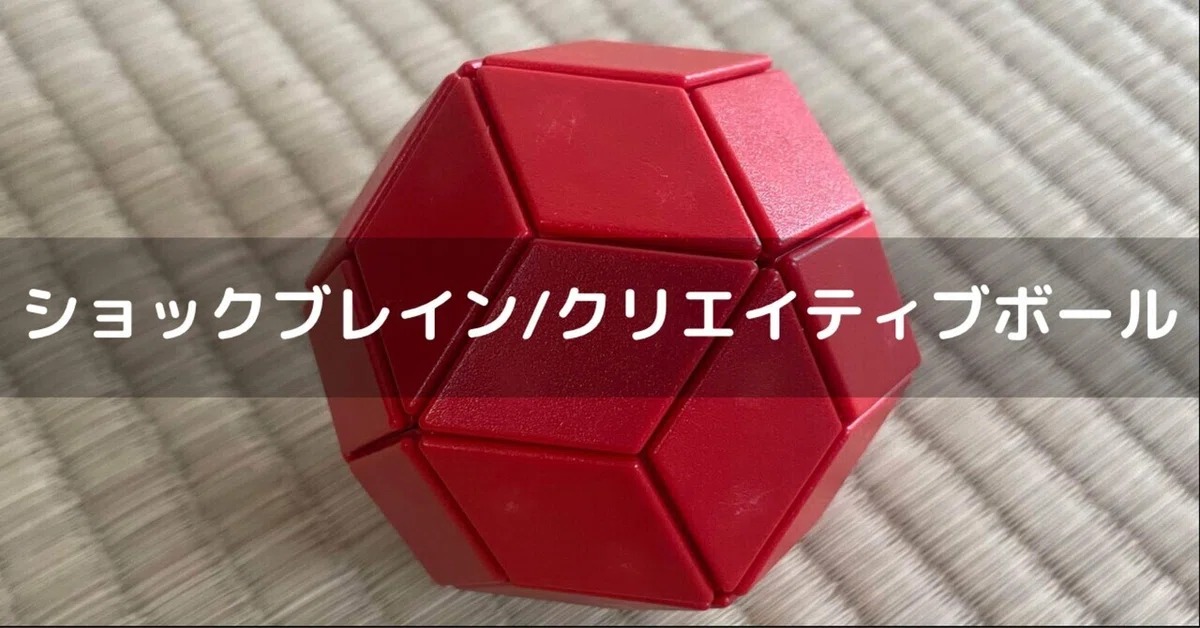 説明書なくても大丈夫！ショックブレインは組み合わせも作り方も自由 