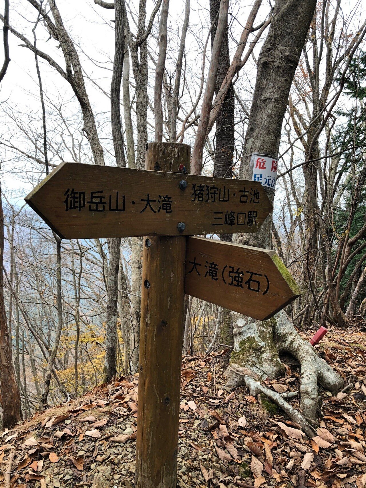 秩父御岳山 ♧マイナー登山道を往く♧（0004）｜10zan