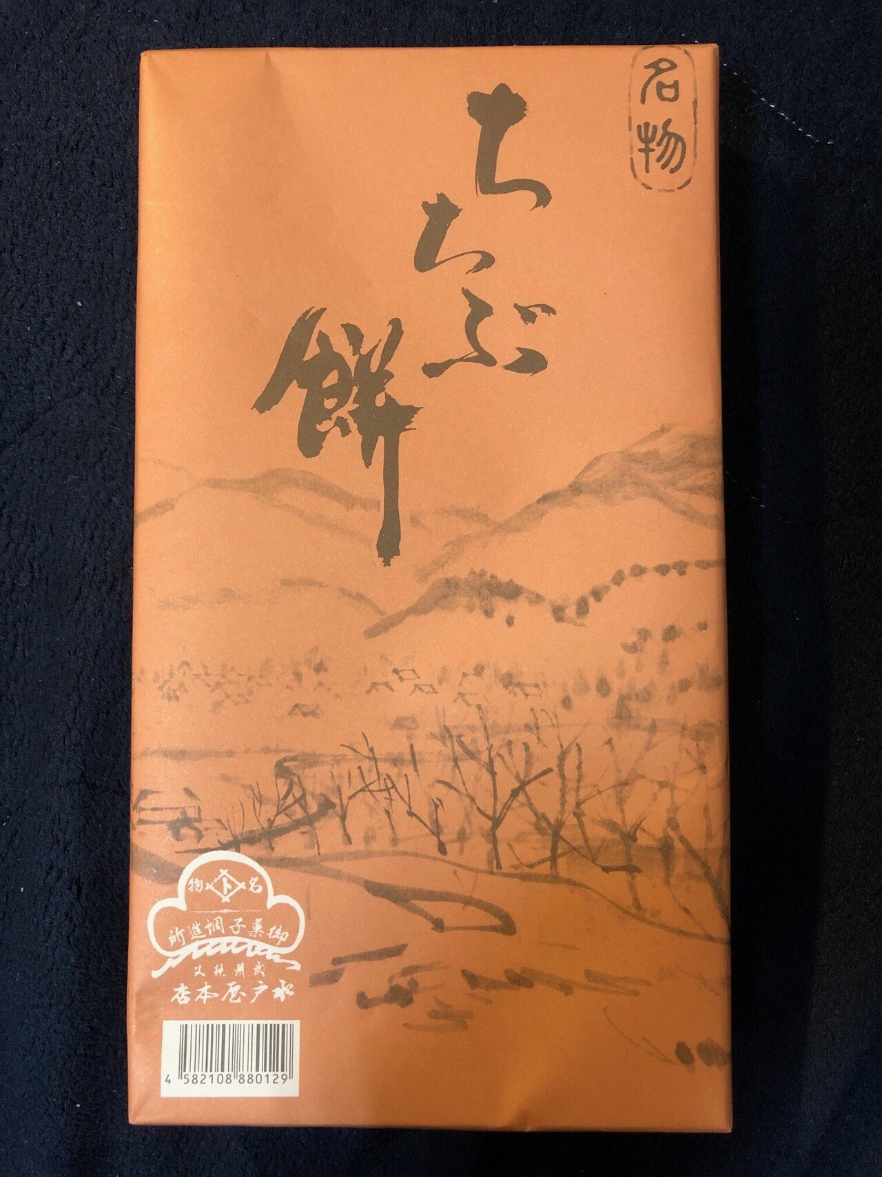 秩父御岳山 ♧マイナー登山道を往く♧（0004）｜10zan