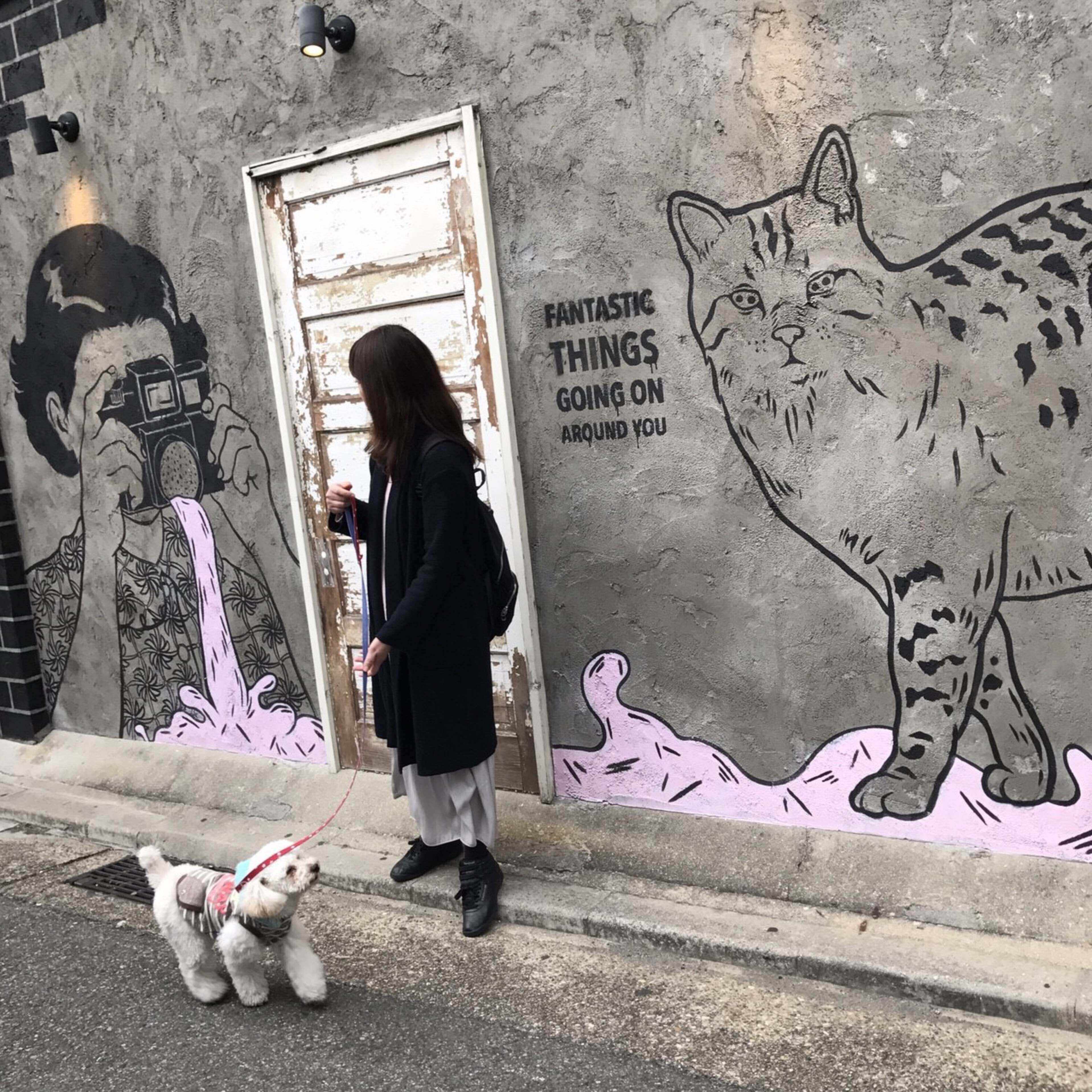 ハングルナビ・テキスト&練習帳【全24冊】高橋文哉ver. 新品】ハングルナビ 高橋文哉 韓国語 ハングルッ！ナビ 2023年5月号6月