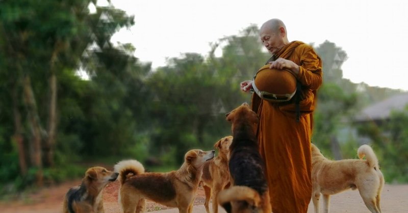 パイサーン師のモーニング説法～イヌを飼うことと健康促進（２）日本とタイ、イヌの飼い方の違い