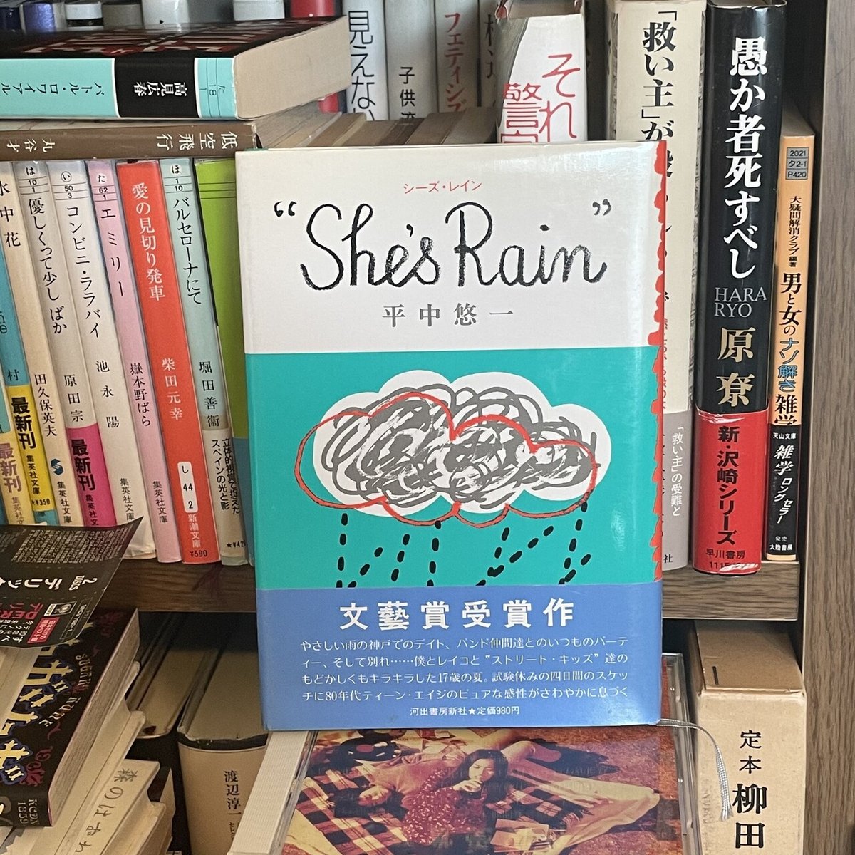 シーズレイン She's Rain 平中悠一