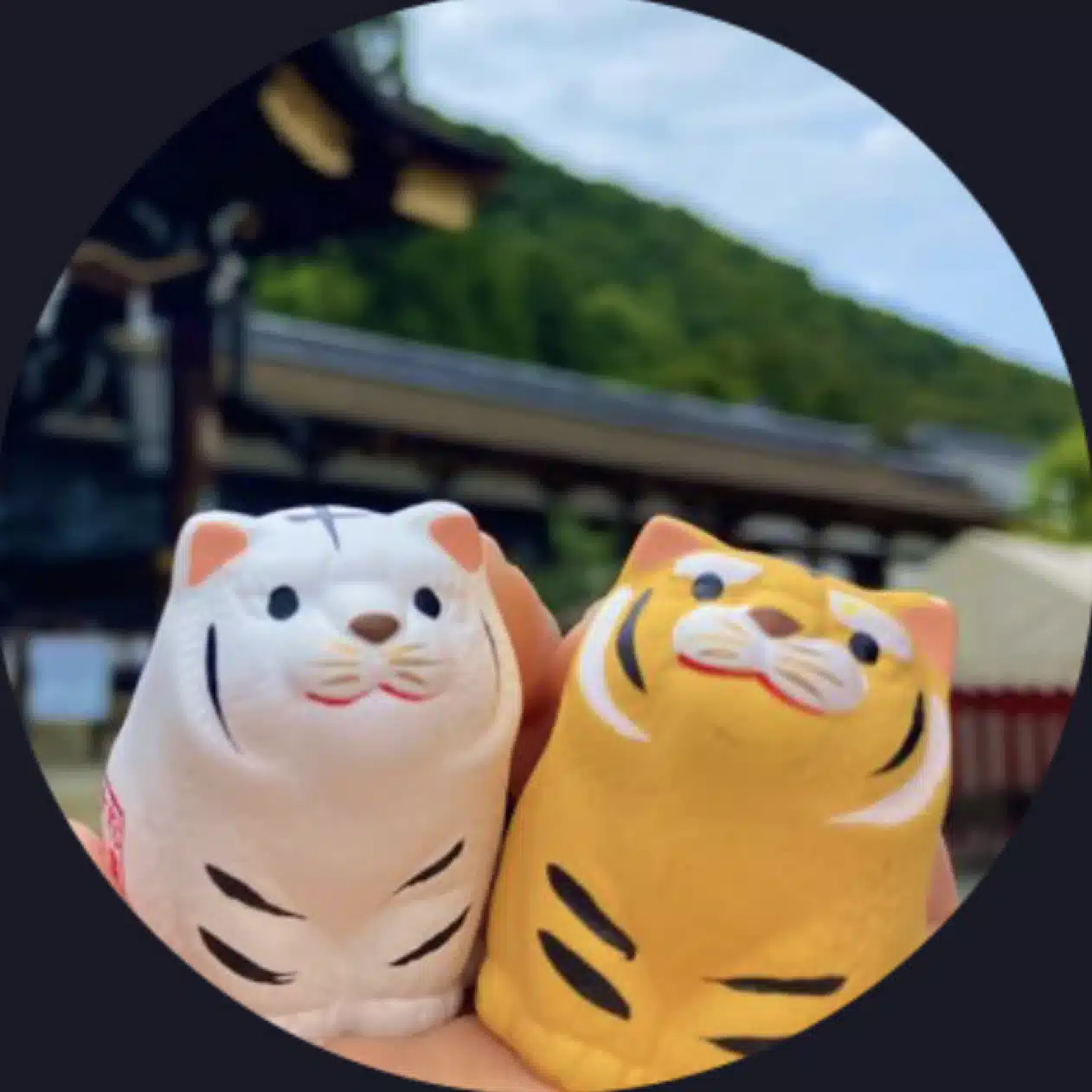 ちゃんみ