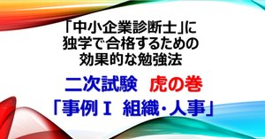 【中小企業診断士二次試験独学者向け】テキスト2024年度版※ファイナルペーパー付 中小企業診断士二次試験独学者向け】テキスト2024年度版※ファイナル