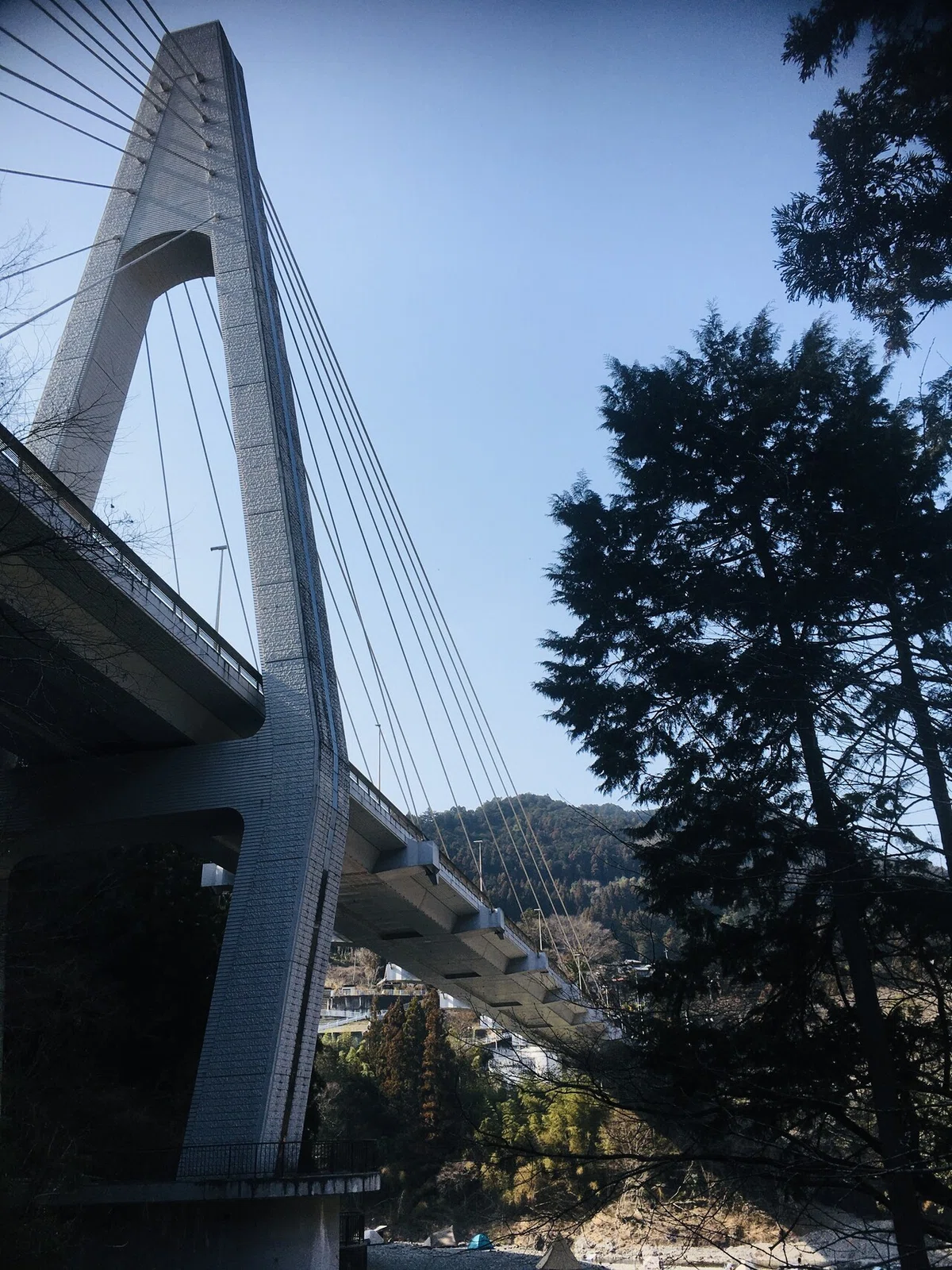 画像38