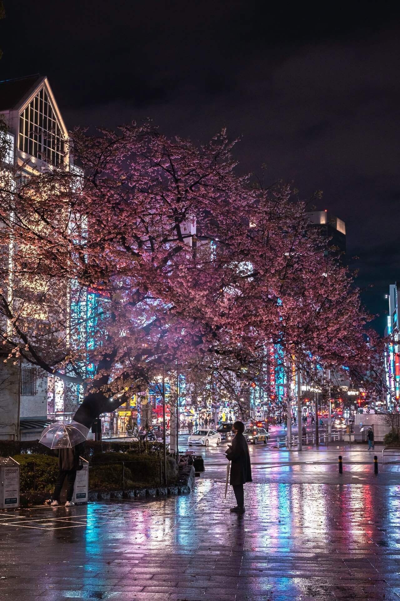 桜ってサイバーパンクだよね｜Yuya