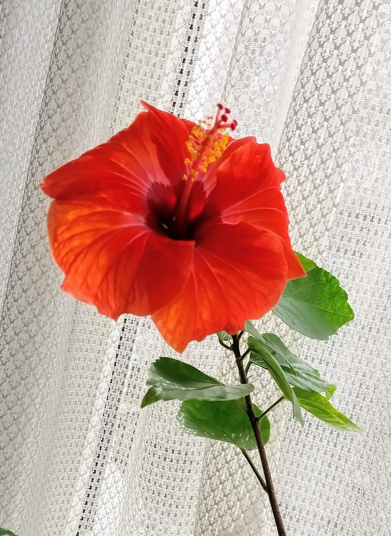 B4pmoerkrhtgbm B4pmoerkrhtgbm