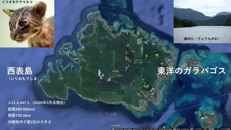 沖縄県 八重山郡 前半 竹富町 波照間島 新城島 西表島 由布島 日本最南端 波照間島 新城島 西表島 由布島を地域紹介 はふなお旅行 地域 Note 沖縄県 八重山郡 前半 竹富町 波照間島 新城島 西表島 由布島 日本最南端 波照間島 新城島 西表島 由布島を地域紹介 はふなお旅行 地域 Note