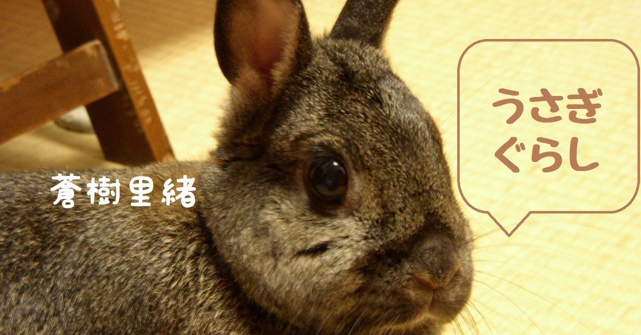 これさえあればうさぎも満腹 食べ物４選 蒼樹里緒 Boothにてボイス