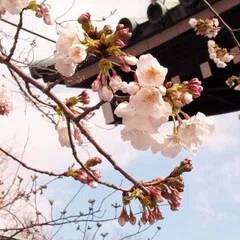 プロフィール｜大藏達雄