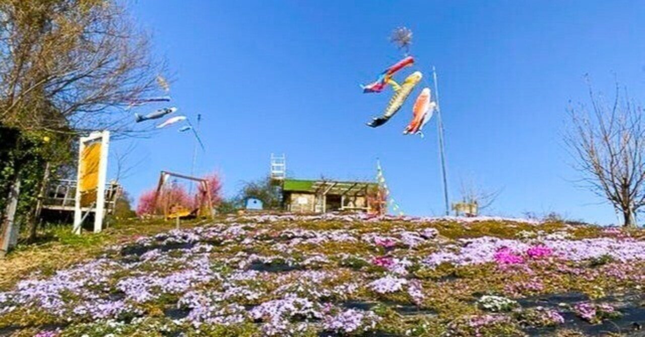 三豊市 志々島の 天空の花畑 が見ごろを迎えています 週刊みとよ ほんまモンradio