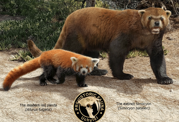 現代 vs 先史時代の動物サイズ｜ノリノリ