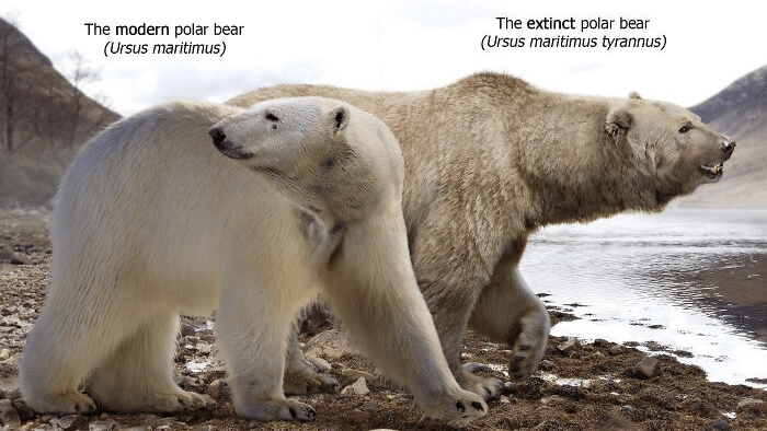 現代 vs 先史時代の動物サイズ｜ノリノリ