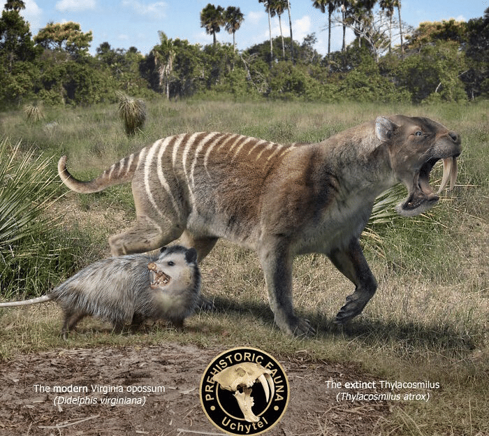 現代 vs 先史時代の動物サイズ｜ノリノリ