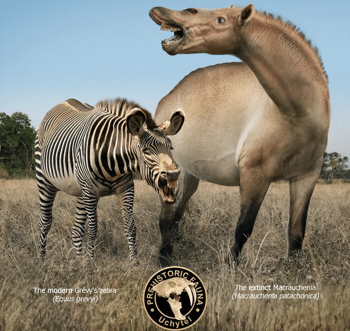 現代 vs 先史時代の動物サイズ｜ノリノリ