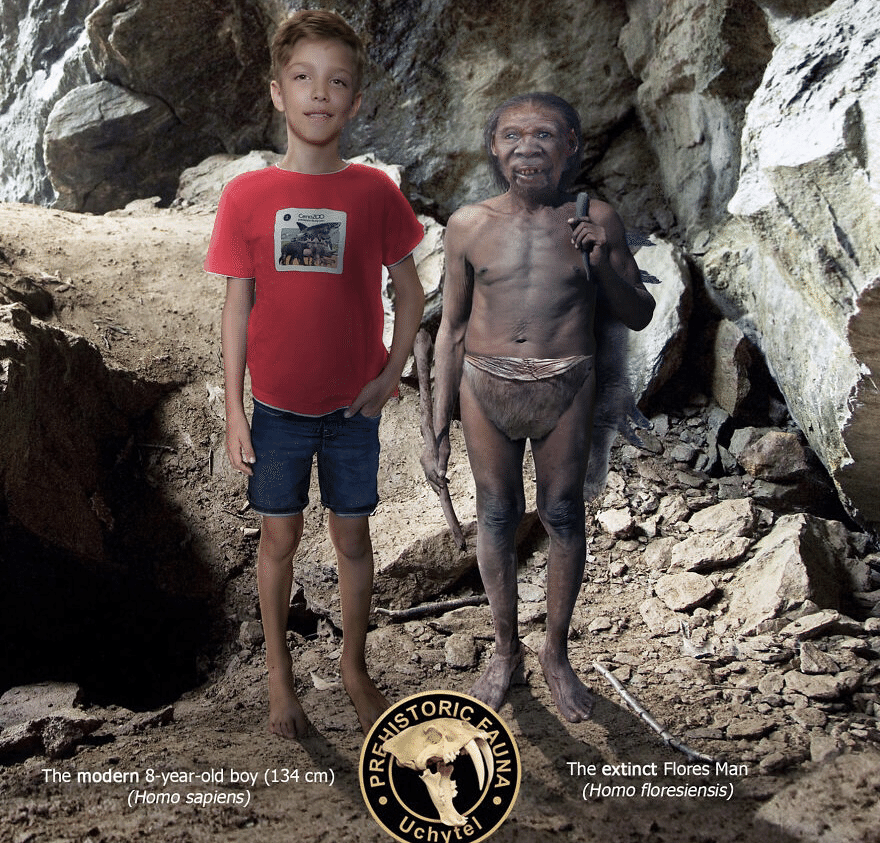 現代 vs 先史時代の動物サイズ｜ノリノリ