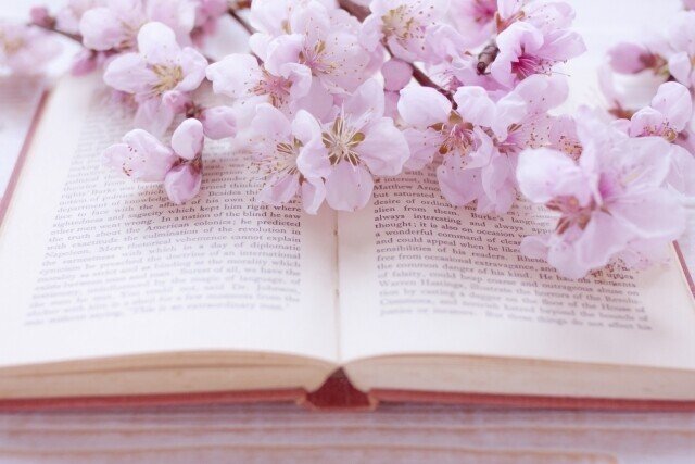 本　書く　花　桜
