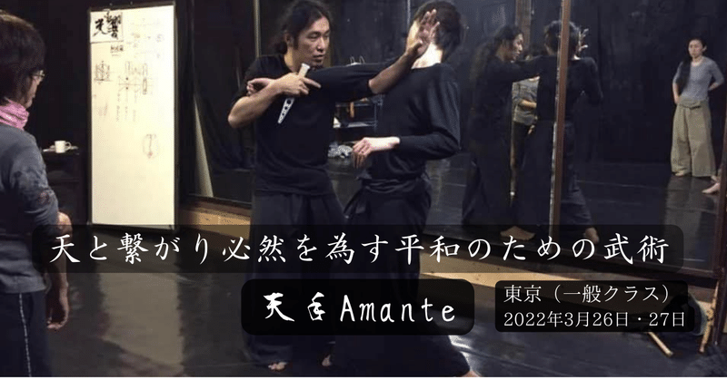 天と繋がり必然を為す平和のための武術「天手Amante 」 東京 3月26日・27日