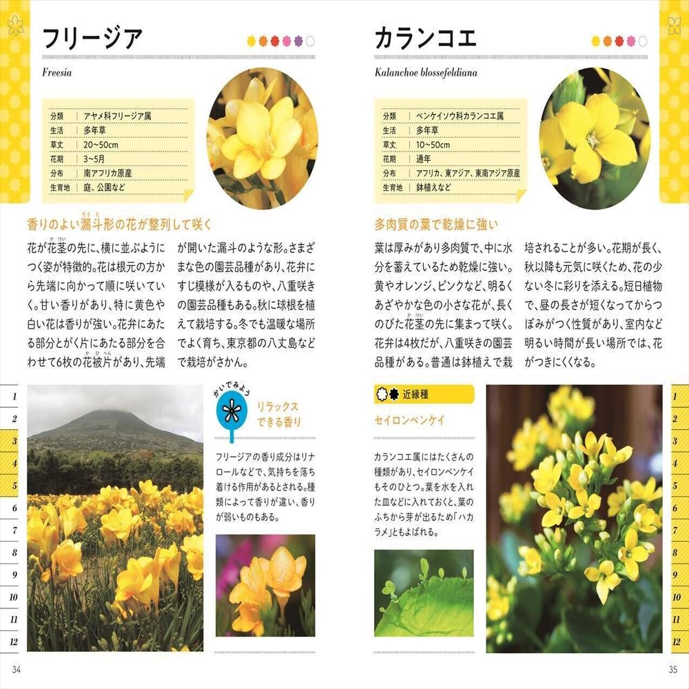 営業部が選ぶ 4月オススメ書籍 ナツメ社 Note