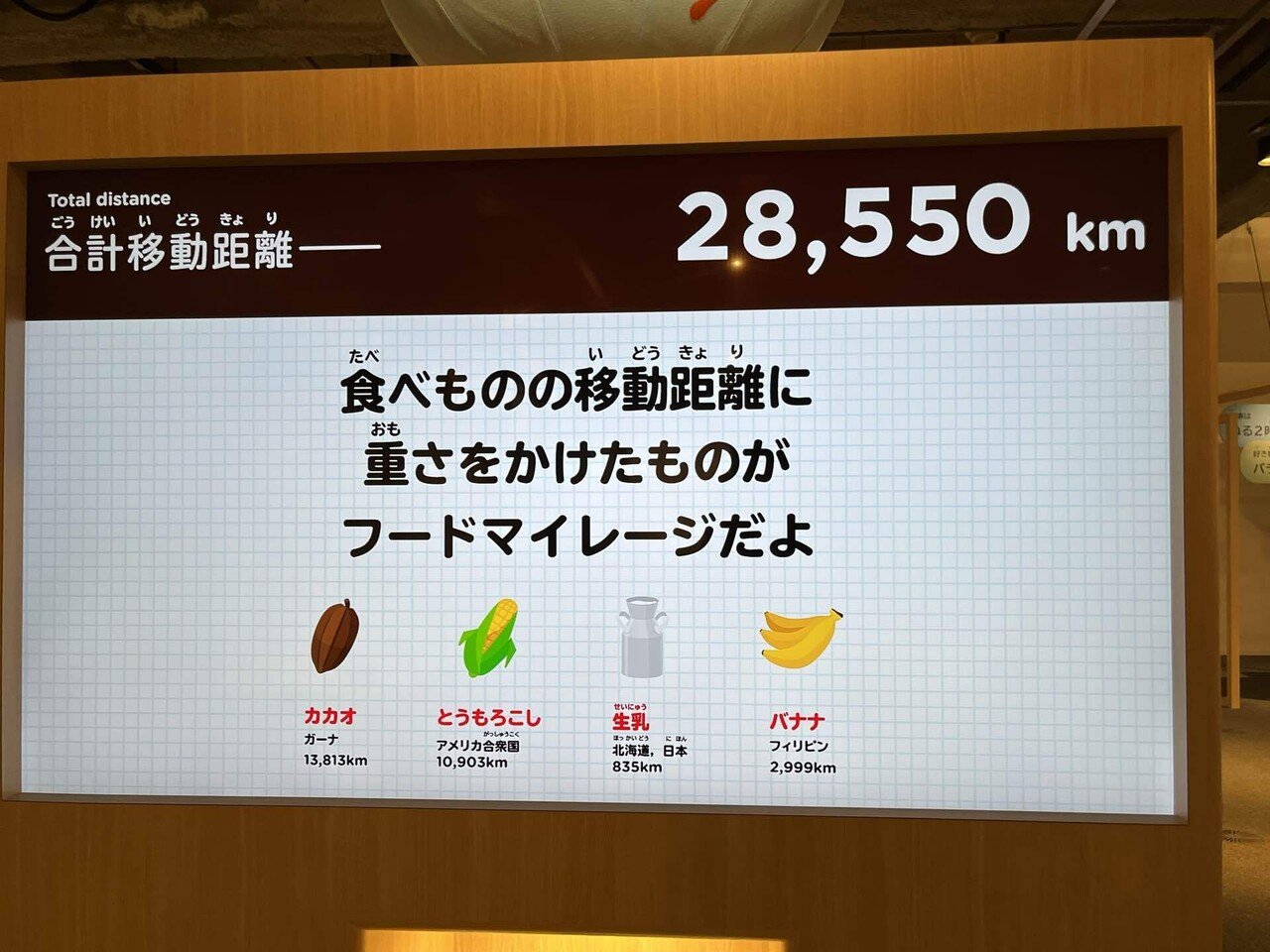 画像19