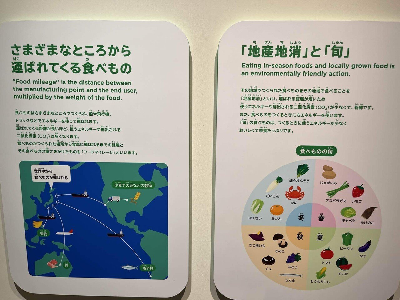 画像17