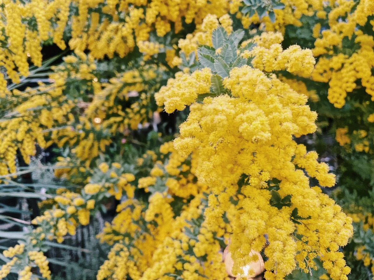 画像50