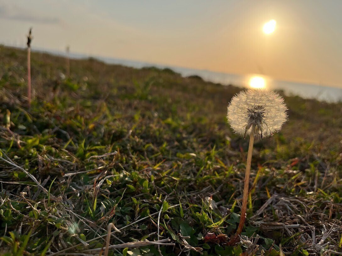 お散歩景色 連道原貝塚ビーチ 読谷 とニライビーチ Coco 旅するセラピスト Note お散歩景色 連道原貝塚ビーチ 読谷 とニライビーチ Coco 旅するセラピスト Note