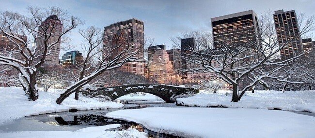 雪のNY橋横拡大650曲折