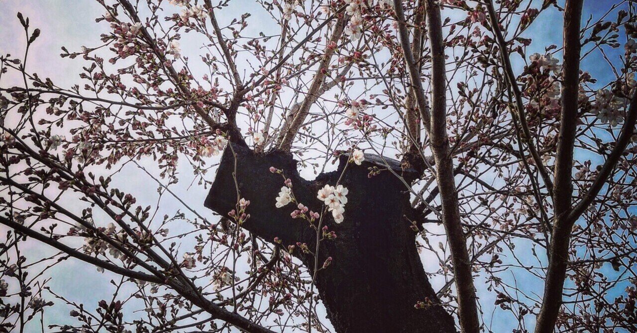 それに意味 があるのかな というのがあって こうすればいい写真が撮れますよ でも スナップフォトでこういうのを撮ればいいですよ とか じゃあこうすれば私みたいな写真が撮れますよ と言うのは具体的に言えるけ Tominagayuki Note