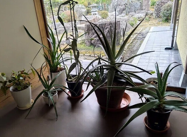 画像7