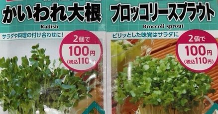 かいわれだいこん様用 56674140-54ee-4a82-8bac-