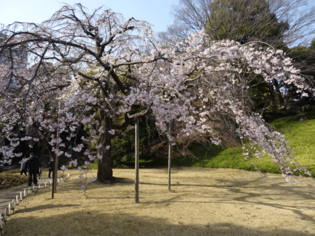 画像7