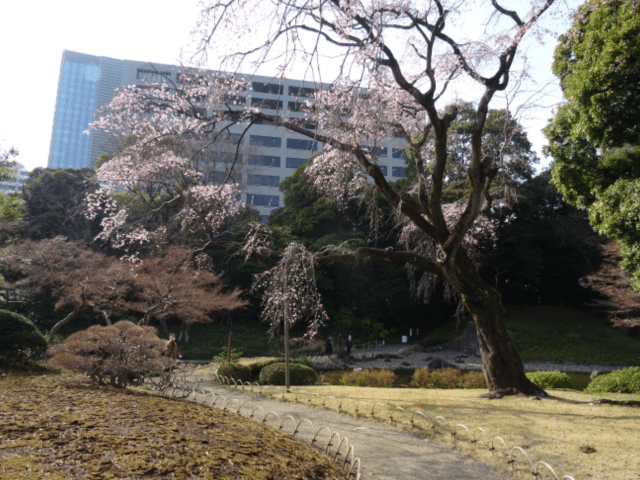 画像9