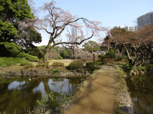 画像12