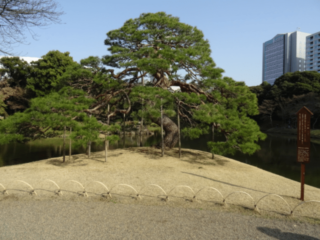 画像14