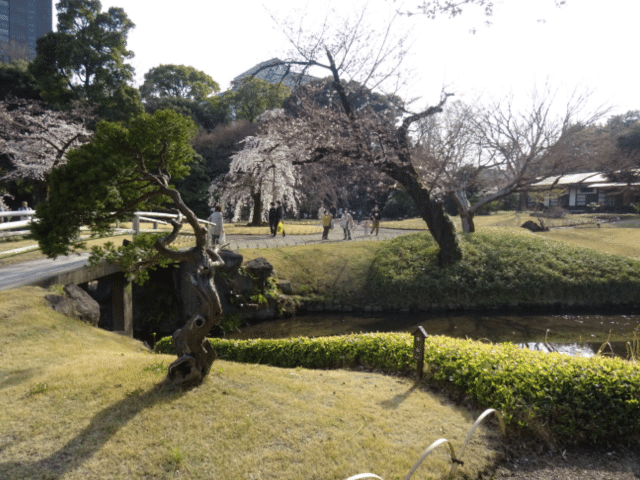 画像15