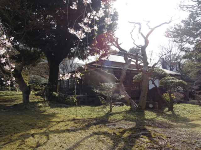 画像20