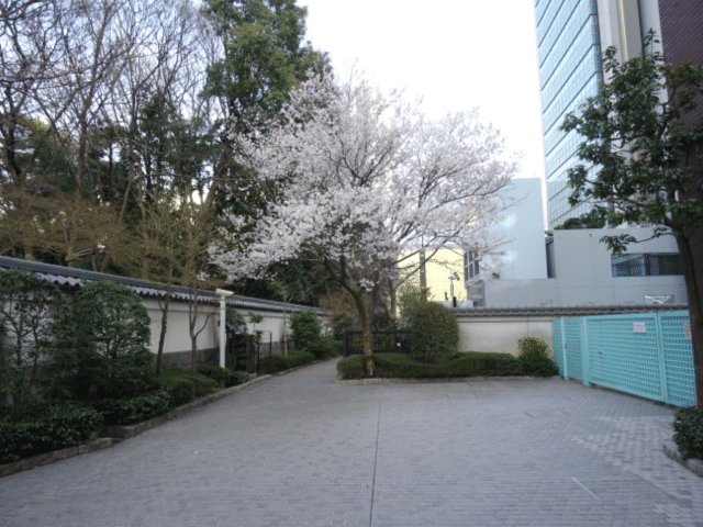 画像26