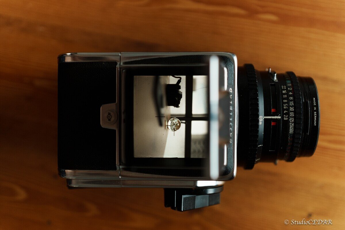 ウエストレベルファインダー越しのボクの世界｜すぎっち 