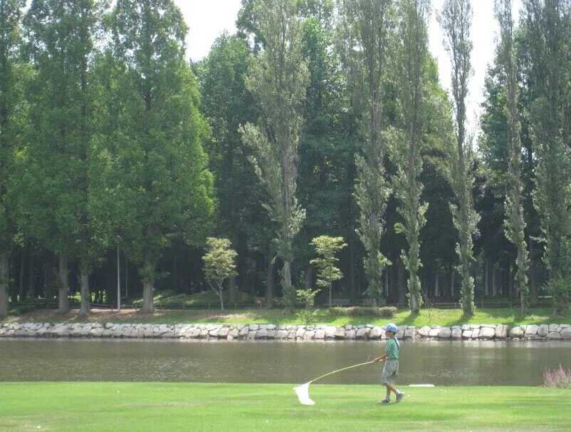 画像6