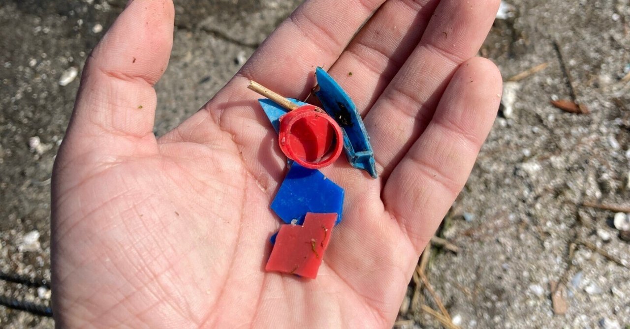 人間の血液からマイクロプラスチックが初めて発見される