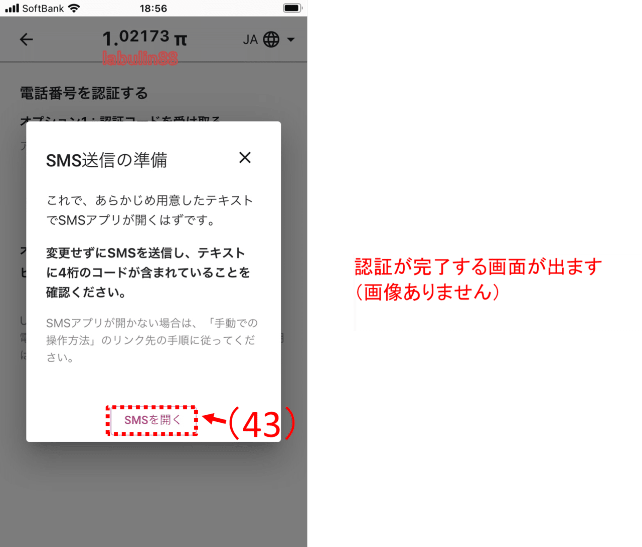 画像19