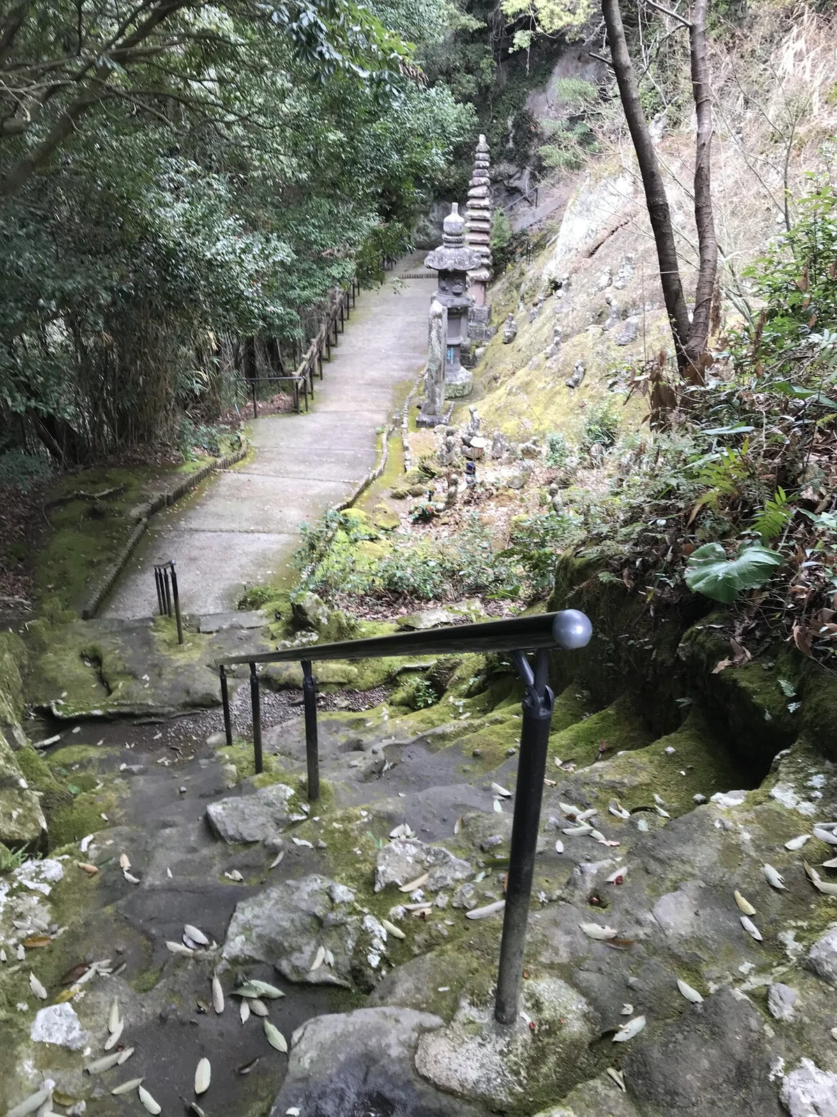 画像21
