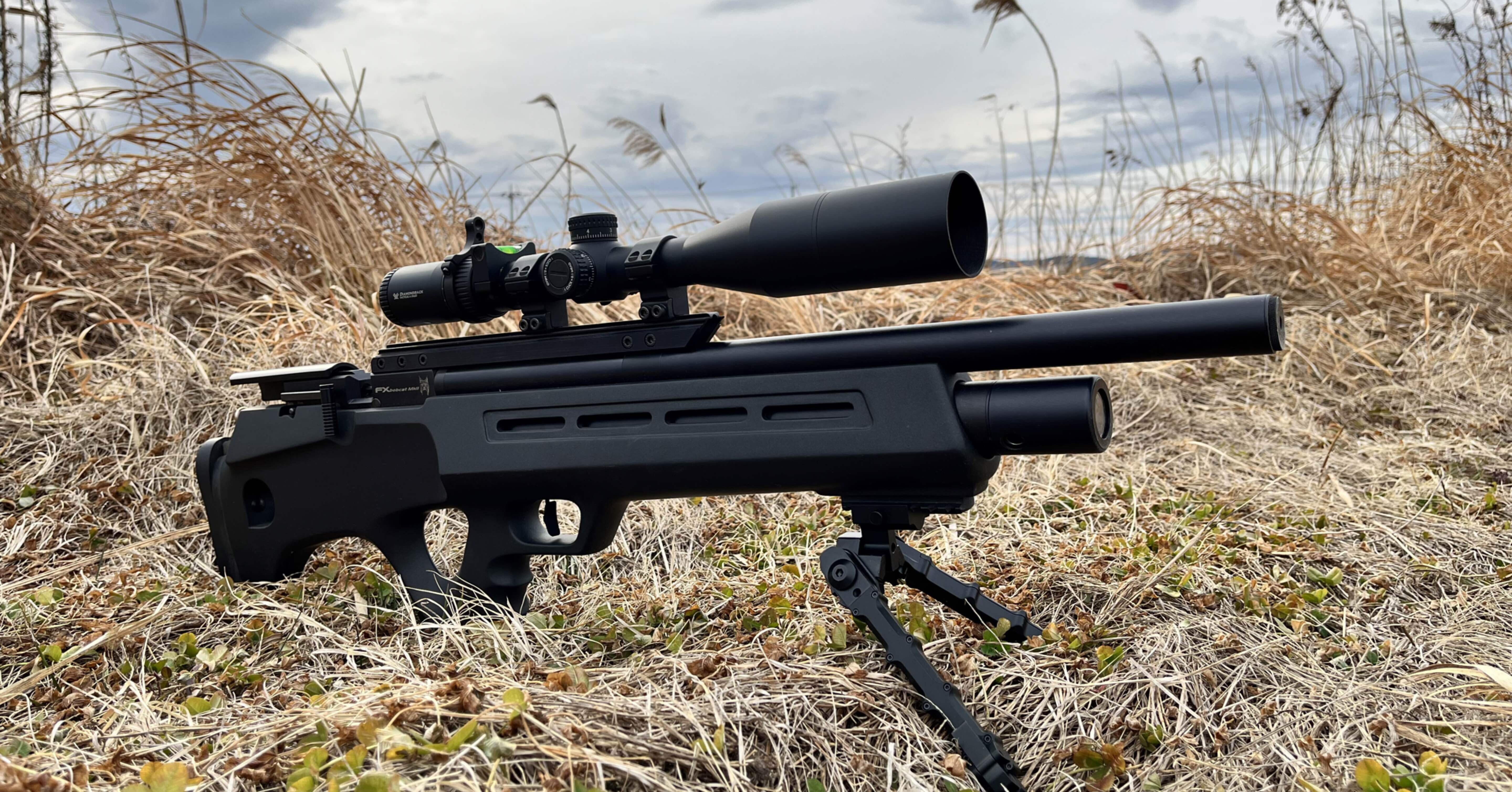 1fdf471238ed28ed8239b9359756d2